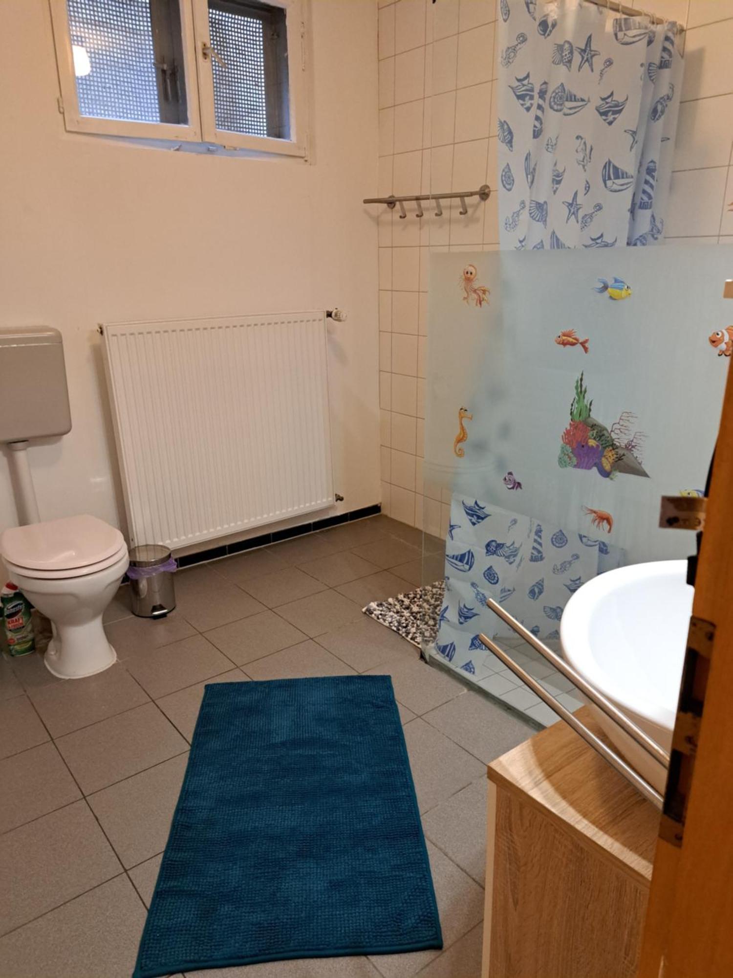 Wohnung mit 2 Zimmern Ballenberg Exterior foto