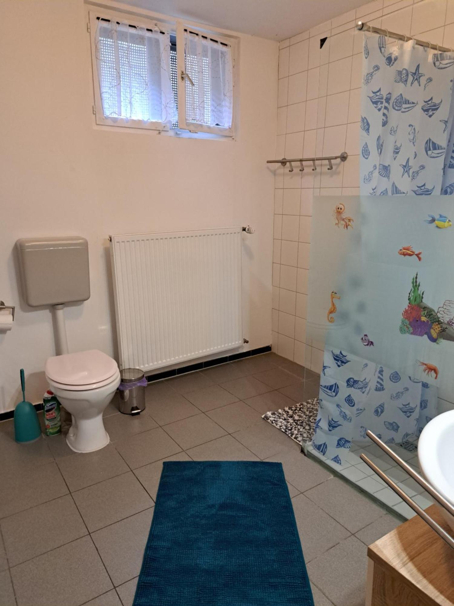 Wohnung mit 2 Zimmern Ballenberg Exterior foto
