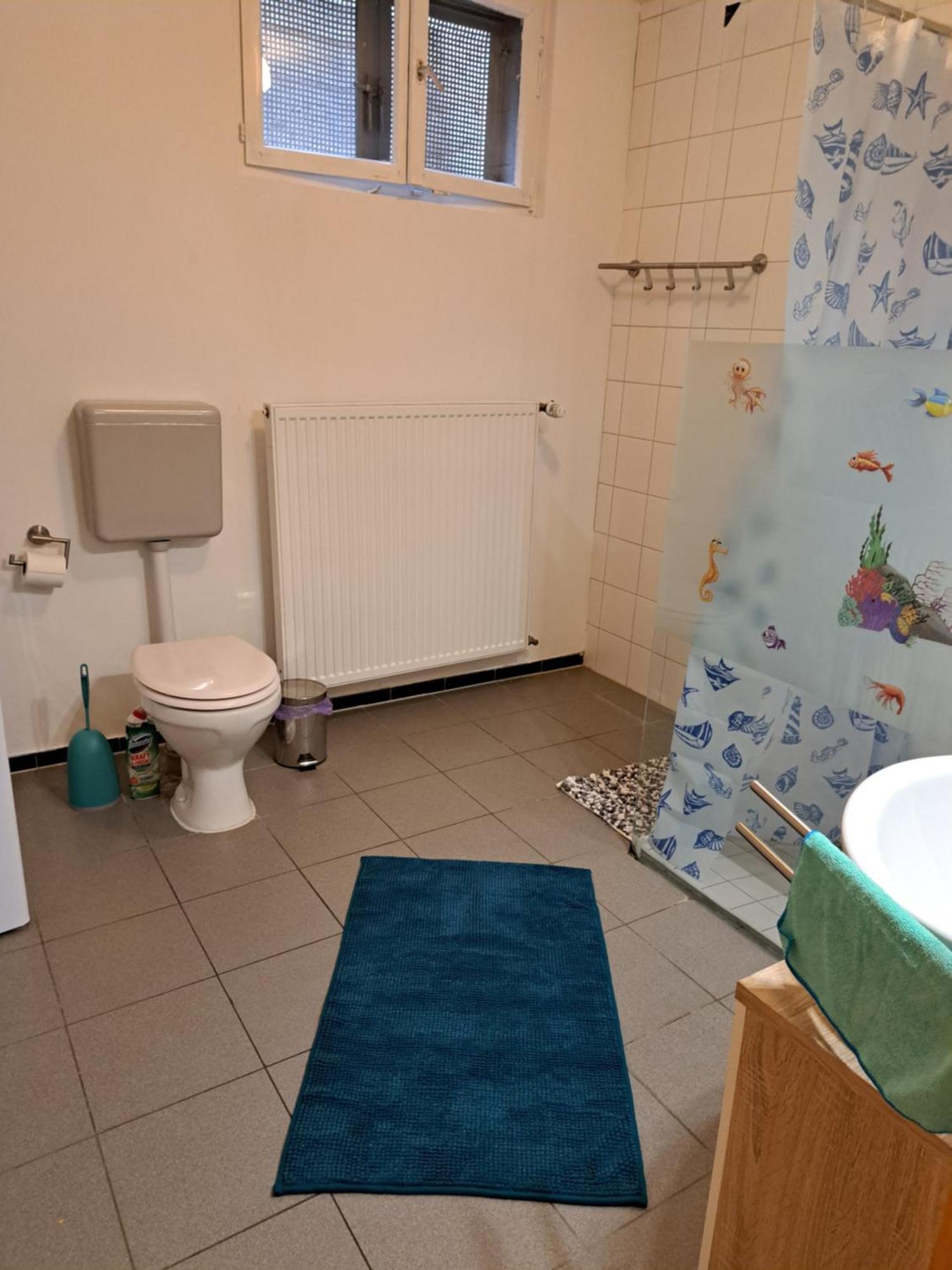 Wohnung mit 2 Zimmern Ballenberg Exterior foto